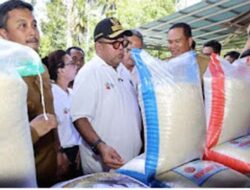 Kerja Sama B2G Pariaman–Jakarta Resmi, Perkuat Distribusi Hasil Pertanian ke Ibu Kota