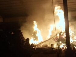 Kebakaran Hanguskan Gudang Percetakan Rak Telur Ayam di Kinali Pasaman Barat, Kerugian Ditaksir Ratusan Juta Rupiah