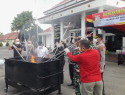Kejari Pasaman Barat Musnahkan Barang Bukti 1.732,68 gram Ganja Kering dan 154,38 gram Sabu