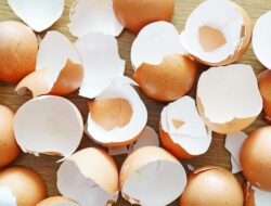 Sering Disalahkan, Apakah Telur Penyebab Bisul?
