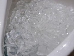 Ramai Dicoba, Es Batu di Toilet Ternyata Punya Efek Tak Terduga