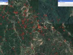 LBH Padang Desak Audit Tata Ruang Usai Maraknya Kerusakan Hutan di Sijunjung