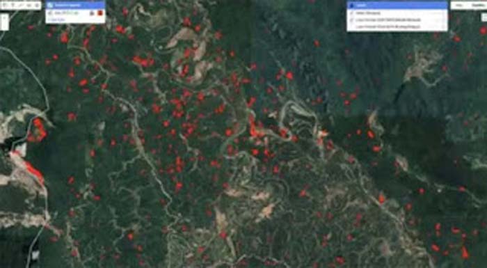 Ket: Citra deforestasi area PETI Sijunjung periode 2020-2024.