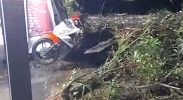 Pohon Tumbang Saat Hujan Badai di Padang, Timpa Sepeda Motor.