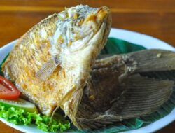 Daftar Ikan Sehat, Rendah Kolesterol dan Kaya Omega-3