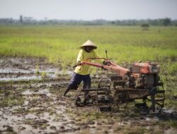 Airlangga Jajaki Kerja Sama Traktor hingga Dump Truck dalam Lawatan ke Belarus