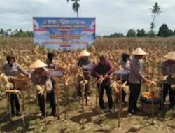 Polda Sumbar Libatkan Bintara Komsus untuk Dampingi Petani dalam Program Ketahanan Pangan