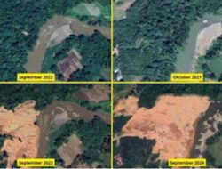 WALHI, Tambang Emas Tanpa Izin di Sijunjung Sebabkan Kerusakan Sungai hingga Korban Jiwa