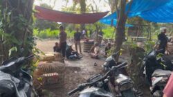 Polsek Sunggal menggerebek lokasi judi sabung ayam.