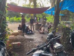 17 Pelaku Judi Sabung Ayam Ditangkap, Polisi Sita Puluhan Motor dan Uang Tunai