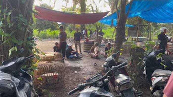 Polsek Sunggal menggerebek lokasi judi sabung ayam.