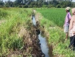 Bidang Pengairan PUPR Pariaman Pastikan Perbaikan Irigasi Tetap Dilaksanakan
