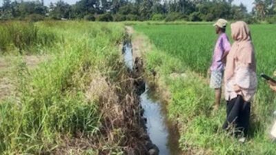 Salah satu titik kerusakan saluran irigasi di Pauh Timur Kota Pariaman.