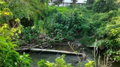 Kondisi kerusakan sheet pile di aliran sungai batang piaman.