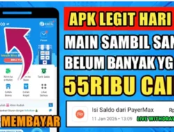 Review Merge Cats, Game Penghasil Uang yang Sedang Viral di 2026