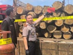 Penebangan Kayu Jati Ilegal di Bojonegoro Terbongkar Berkat Laporan Warga