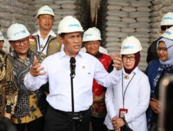 Stok Beras Tembus 5 Juta Ton, Pemerintah Sampai Sewa Gudang Tambahan