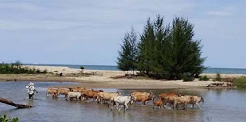 Lokasi bocah 10 taun hilang terseret arus muara.