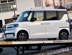 Racco Jadi Senjata Baru BYD di Segmen Kei Car Jepang