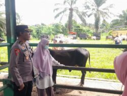 Jelang Iduladha 1447 H, Polres Pasaman Barat Gelar Patroli Cegah Pencurian Hewan Ternak