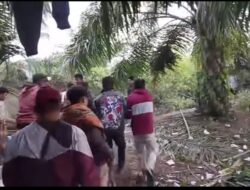 Korban Diterkam Buaya di Sungai Batang Paparian Pasaman Barat Ditemukan Meninggal Dunia
