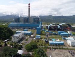Kolaborasi Energi dan Pertanian, PLN IP Manfaatkan Sorgum untuk Co-firing PLTU