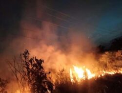 Kebakaran di Pesisir Selatan Cepat Ditangani, Satu Rumah Berhasil Diselamatkan