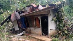 Pohon Tumbang Timpa Rumah Warga di Bukit Gado-Gado, Kerugian Capai Rp65 Juta.