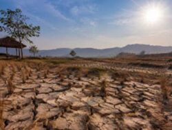 BMKG, Musim Kemarau 2026 Berpotensi Lebih Kering Akibat Pengaruh El Nino