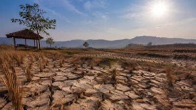 BMKG, Musim Kemarau 2026 Berpotensi Lebih Kering Akibat Pengaruh El Nino