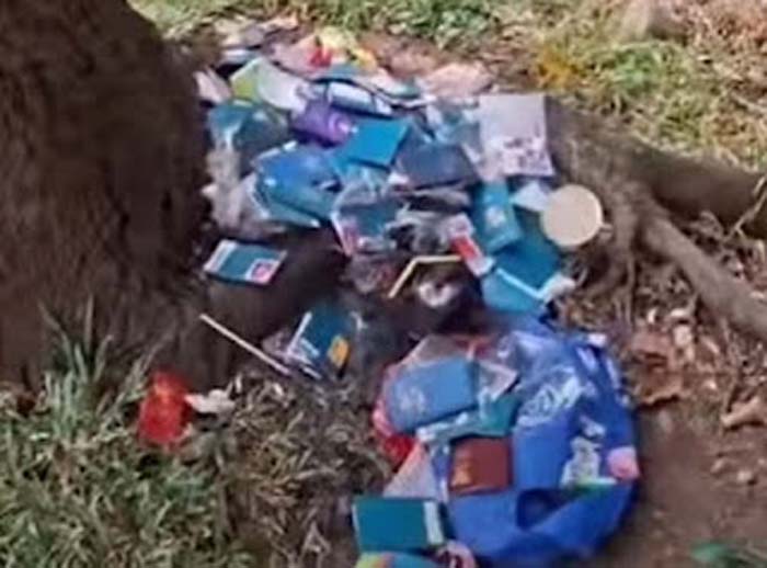 Viral paspor diduga milik jamaah haji berserakan di jalanan BSD.