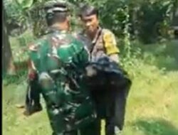 Lalai Lepas Anjing Pemburu, Nyawa Bocah di Jasinga Melayang