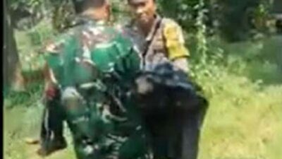 Lalai Lepas Anjing Pemburu, Nyawa Bocah di Jasinga Melayang