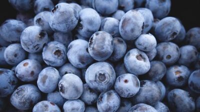 Blueberry ternyata bagus untuk kesehatan tulang.