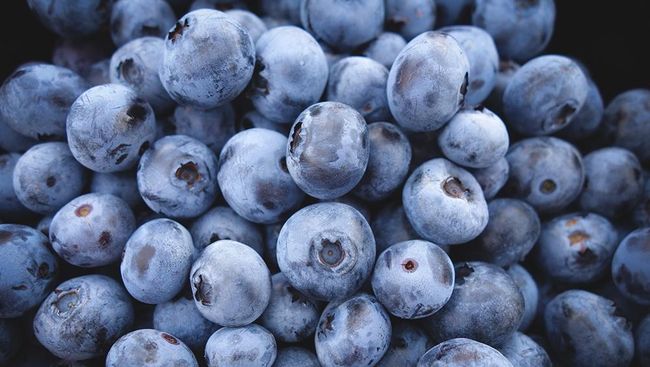 Blueberry ternyata bagus untuk kesehatan tulang.