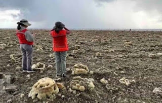 Gempa dahsyat Filipina memicu fenomena geologi mengerikan, dasar laut terangkat 2 meter.