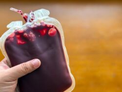 Berapa Kali Boleh Donor Darah? Ini Penjelasan Jeda Waktu yang Tepat