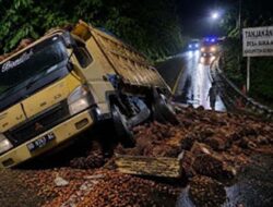 Kecelakaan Truk Sawit Ganggu Lalu Lintas di Giri Mulya, Sopir Selamat