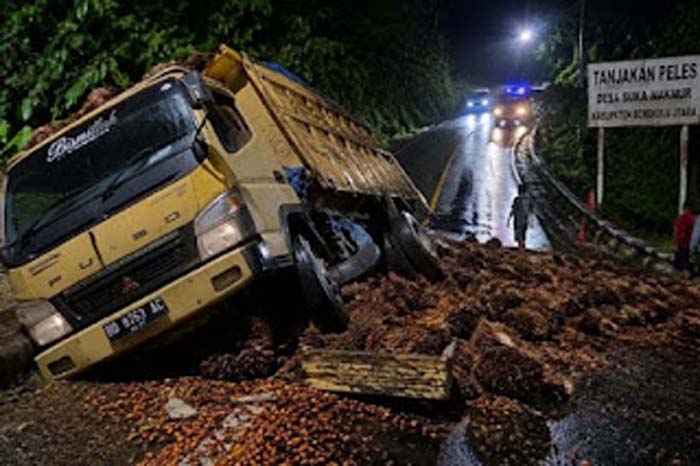 Truk bermuatan kelapa sawit mengalami kecelakaan.