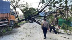Truk Tabrak Pohon Pembatas Jalan di Lubuk Kilangan.