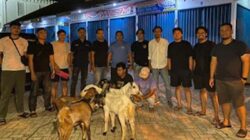 Tim Klewang Polresta Padang Gagalkan Penjualan Kambing Curian.