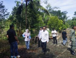 DLH Pasbar Klarifikasi Isu Penebangan Pohon Sengon di Kawasan Hutan Kota, Ini Penjelasannya!