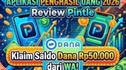 Saldo DANA