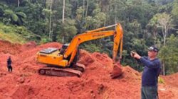 Kemenhut menindak aktivitas pertambangan emas tanpa izin