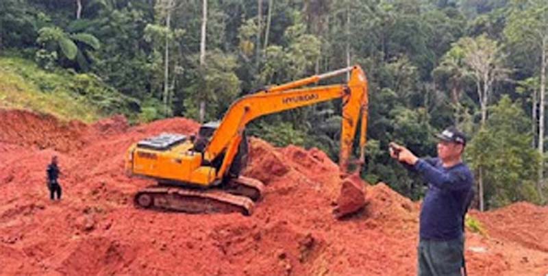 Kemenhut menindak aktivitas pertambangan emas tanpa izin
