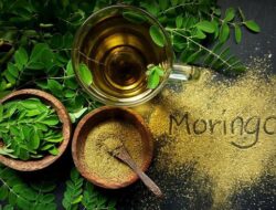 Air Rebusan Daun Kelor Kaya Nutrisi, Simak Manfaatnya bagi Jantung hingga Otak