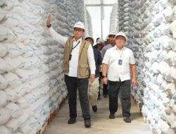 Bulog Optimistis Target 4 Juta Ton Beras Segera Tercapai, Stok Cadangan Pangan Makin Kuat