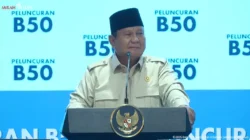 Bangun PLTS 100 Gigawatt dalam 2 Tahun, Prabowo Akui Akan Dihujat.