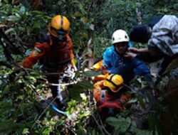 Mobil Jatuh ke Jurang di Lima Puluh Kota, Operasi SAR Berhasil Selamatkan Dua Orang