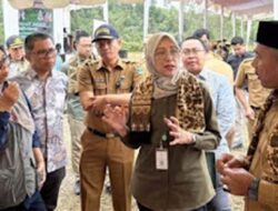 Perhutanan Sosial Naik Kelas, Program BFM Buka Akses Pembiayaan dan Investasi bagi KUPS